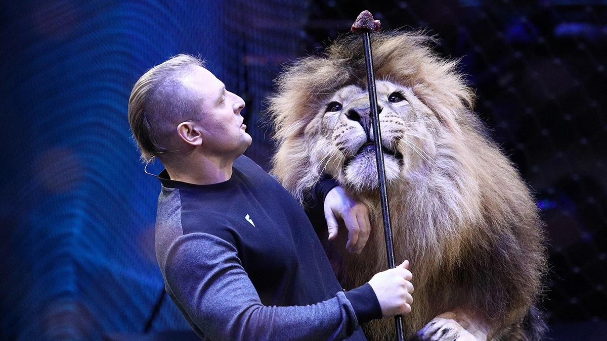 Интересные факты о братьях Запашных и их открытых репетициях